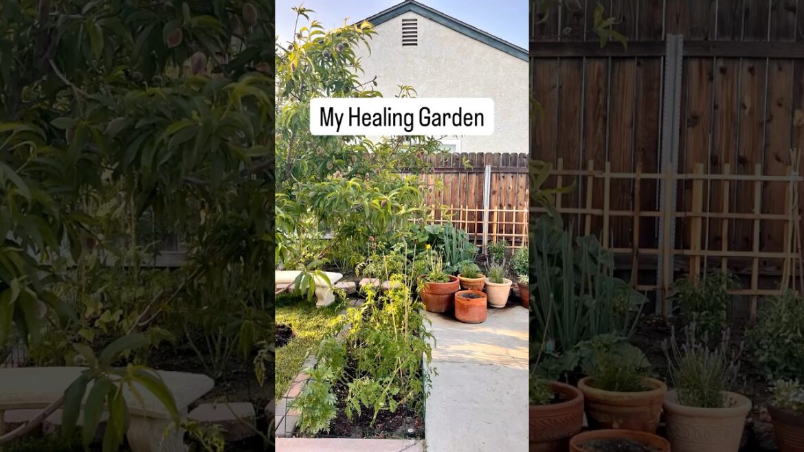 You know what I love about my garden?/¿Sabes qué es lo que más me gusta de mi jardín? You know what I love about my garden?/¿Sabes qué es lo que más me gusta de mi jardín?