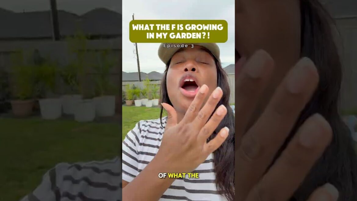 Something Moved in My Container Garden 😳