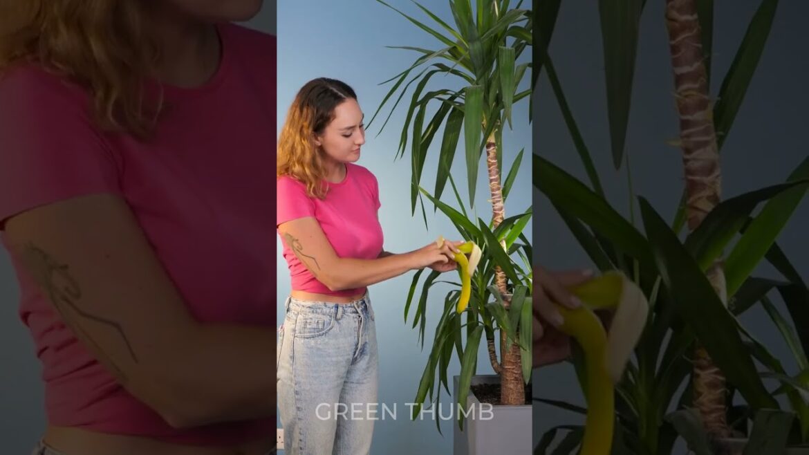 Easy Garden Hacks to Keep Pests at Bay! 🪳🐛