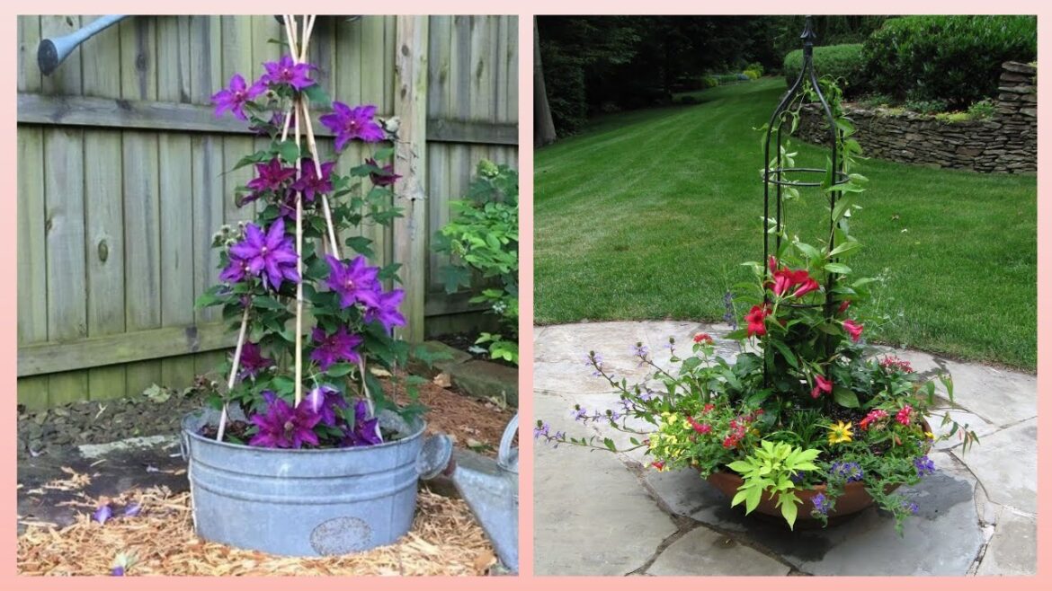 Flowers for pots full sun / container garden flowers, garden planter ideas,