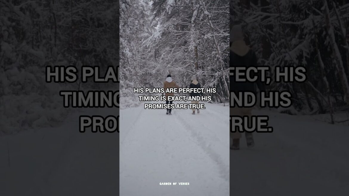 “What God has planned for you is perfect—wait and see!” #shorts #bibleverse #faith “What God has planned for you is perfect—wait and see!” #shorts #bibleverse #faith