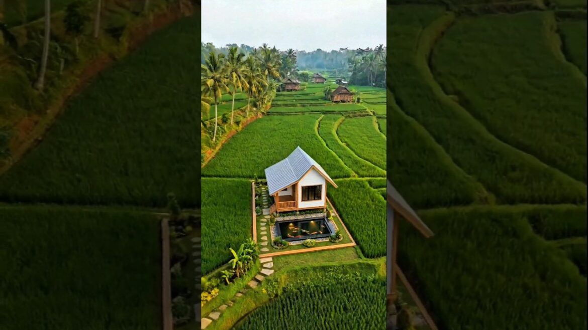 GARDEN RENOVATION | Stunning Koi Pond Transformation #shorts #shortsviral #renovation