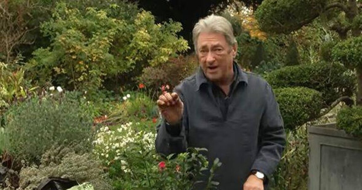 Alan Titchmarsh says ‘every garden’ should have this one plant in December Devon Live
