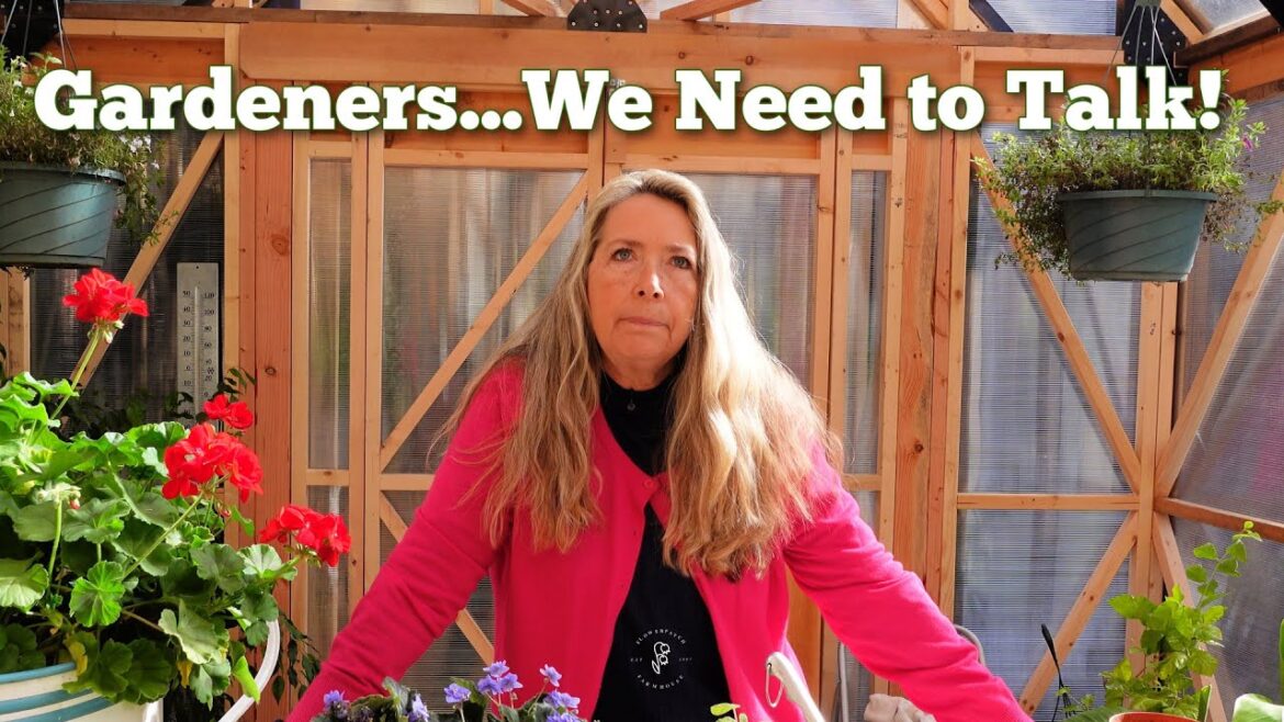 Stop Buying So Much! The Truth About Over-Consumerism in Gardening Stop Buying So Much! The Truth About Over-Consumerism in Gardening