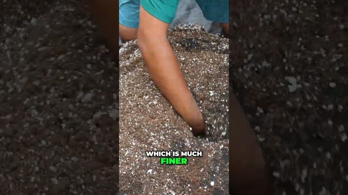 DIY Mineral-Rich Potting Mix for Citrus Trees