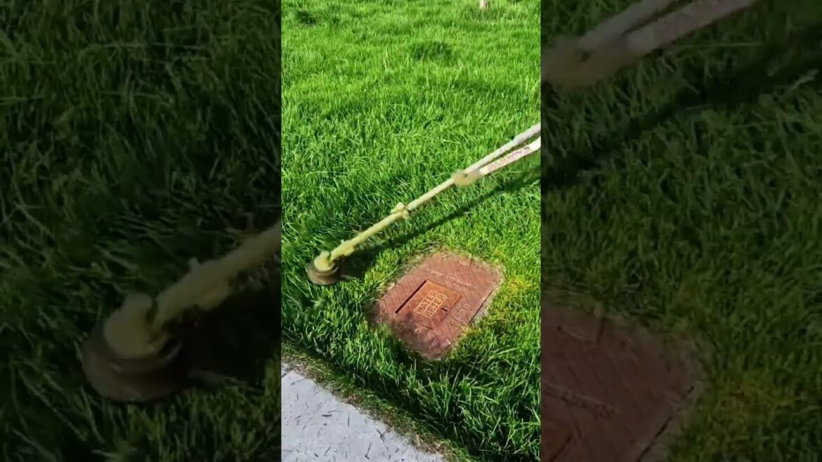 #lawncare #cleaning #lawnmowingbusiness #lawn #foryou #landscape #landscaping #garden #mowing