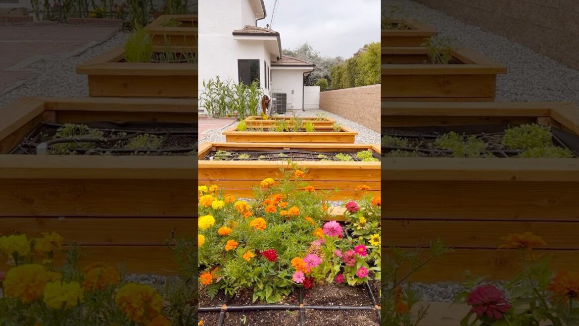 ✨THE BEST GARDENING PRODUCTS!✨ ✨THE BEST GARDENING PRODUCTS!✨