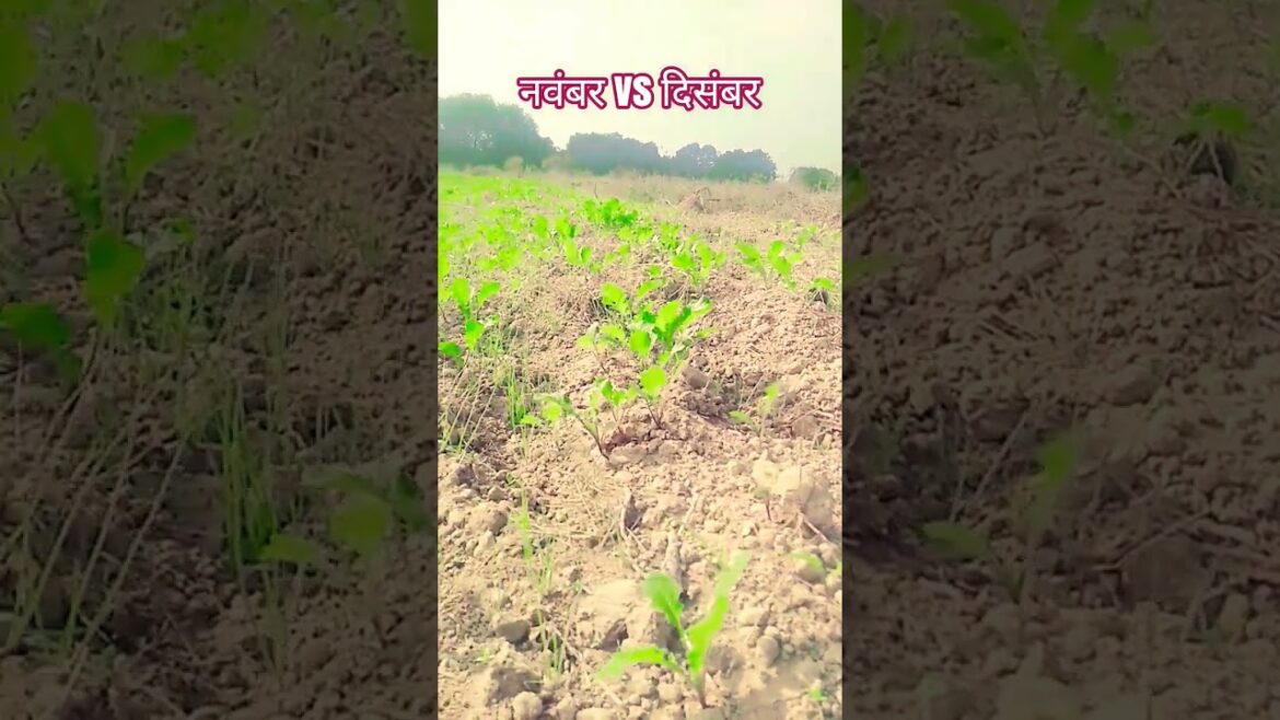 #aesthetic #aesthetic