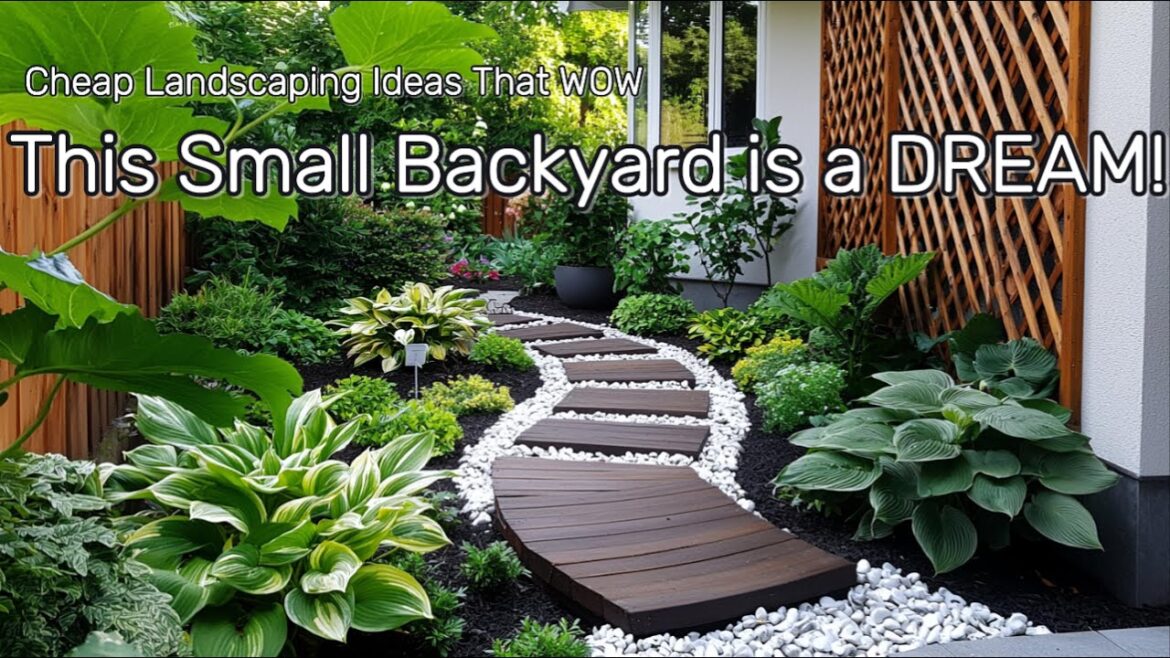 Small Backyard Oasis 2025: Budget-Friendly Landscaping with Natural Elements