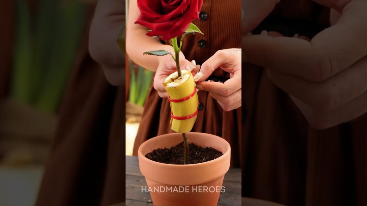 Grow Your Garden Faster with These Easy Hacks 🌱⚡