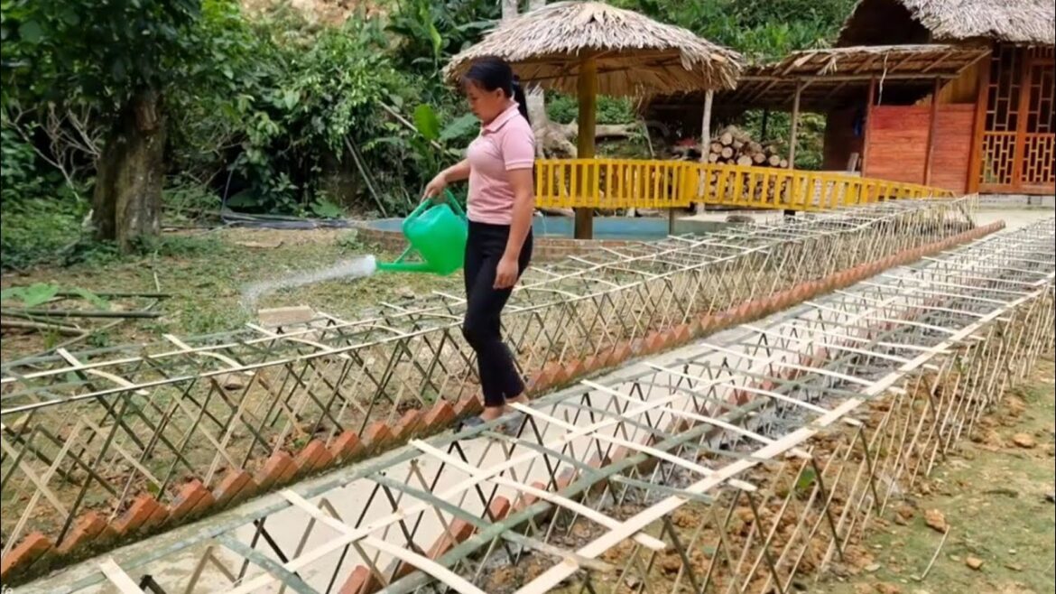 Single girl's vegetable gardening skills / Ly Nhe