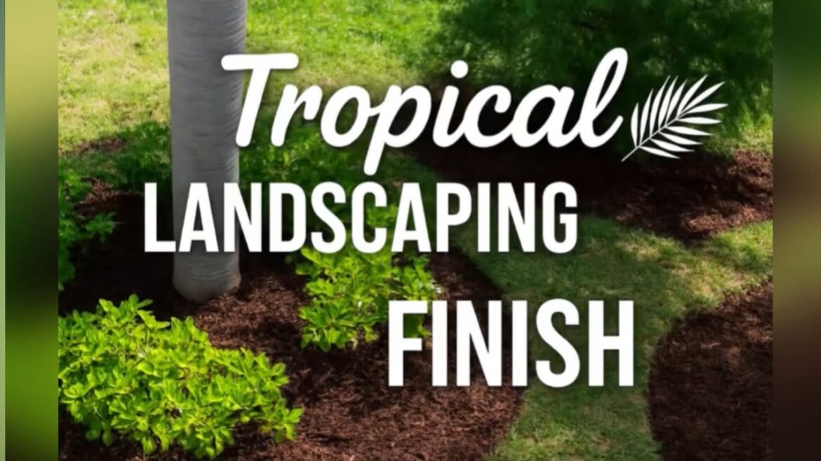 DIY Garden Makeover | Before & After Landscaping Work