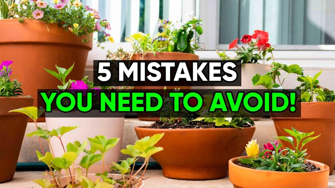 Stop Making These 5 Container Gardening Mistakes! 🌿