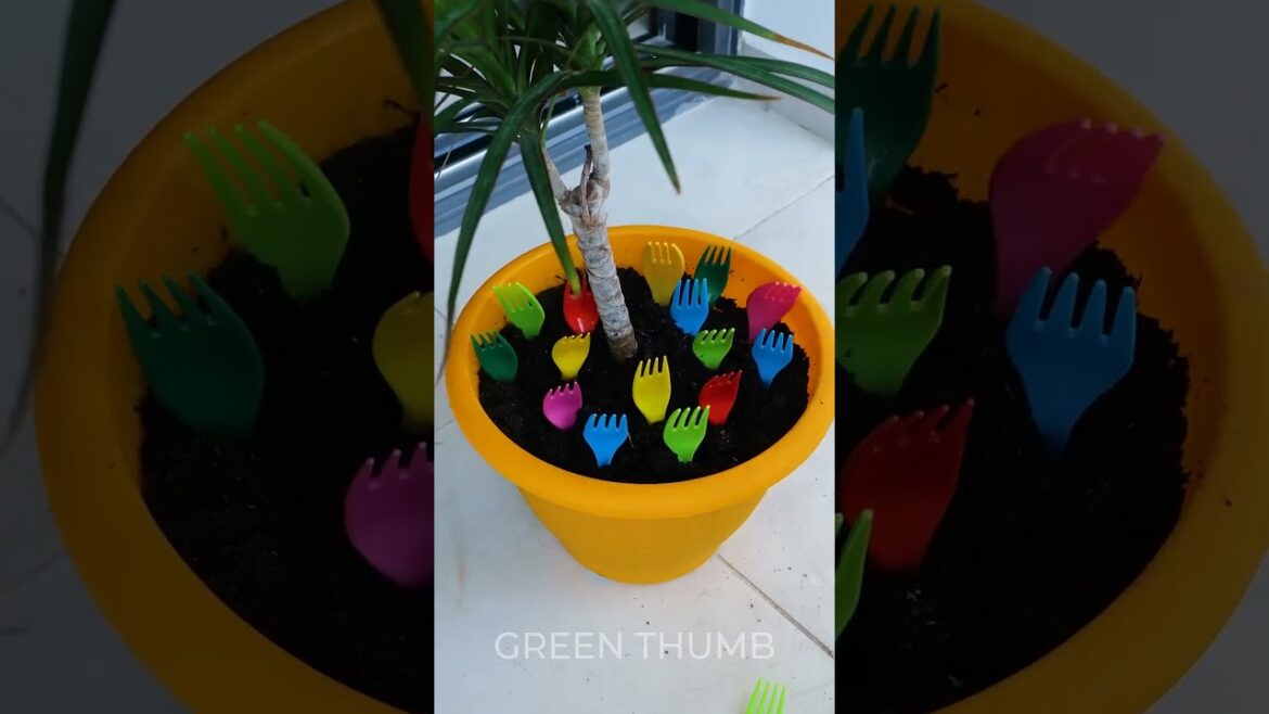 Thrilling Indoor Garden Hack If You Have Pets!
