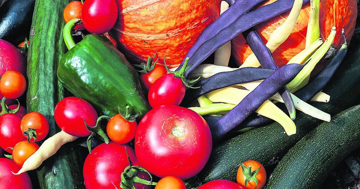 GARDENING: Plump pumpkins and beautiful beetroot