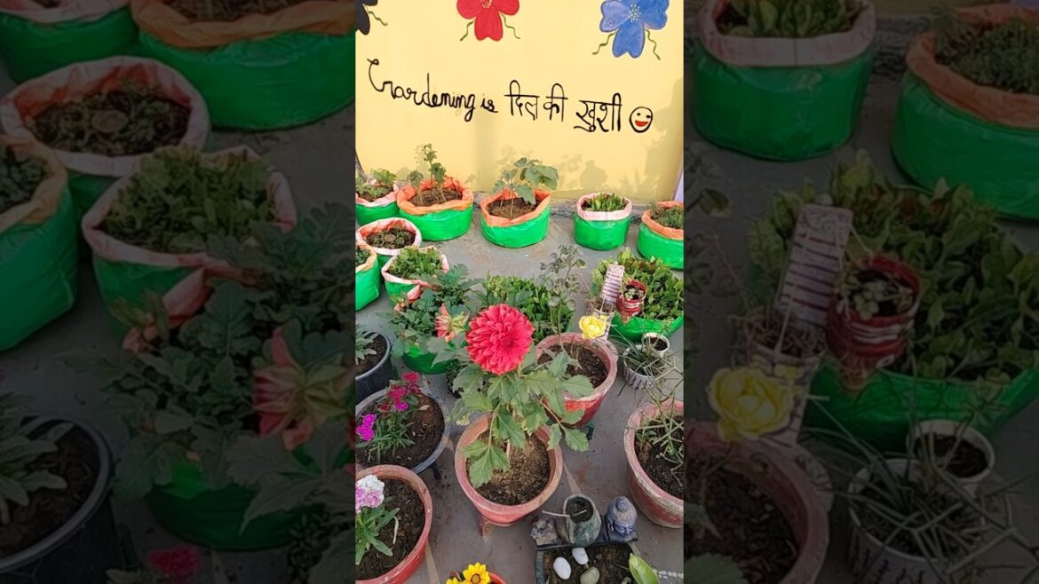 winter Season Plants Care Tips🪴👍#gardenplants #garden #viral#shorts#plants