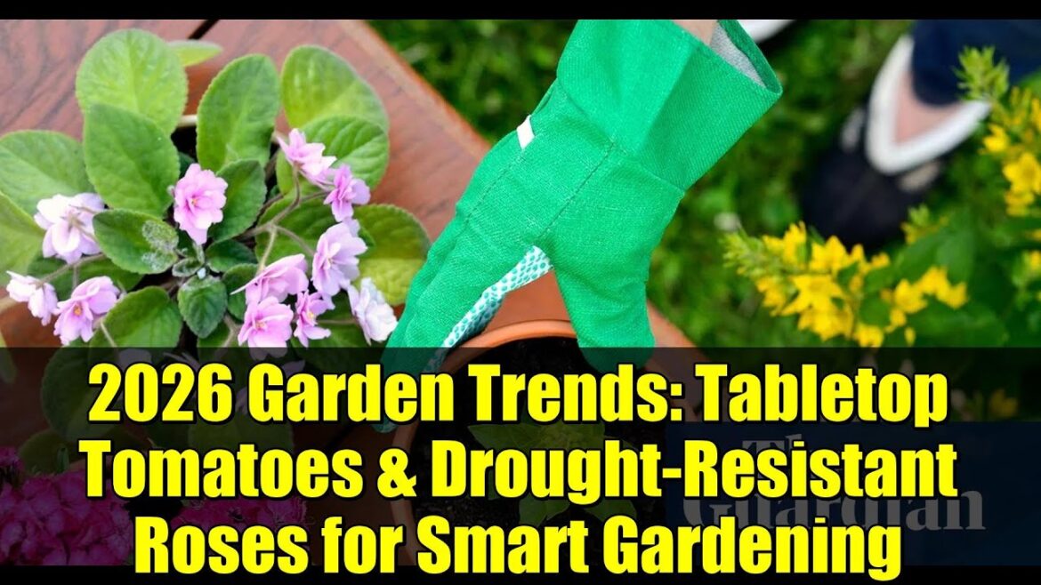 2026 Garden Trends: Tabletop Tomatoes & Drought-Resistant Roses for Smart Gardening
