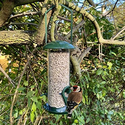 Bird Feeder with Pre-Filled Sunflower Seeds