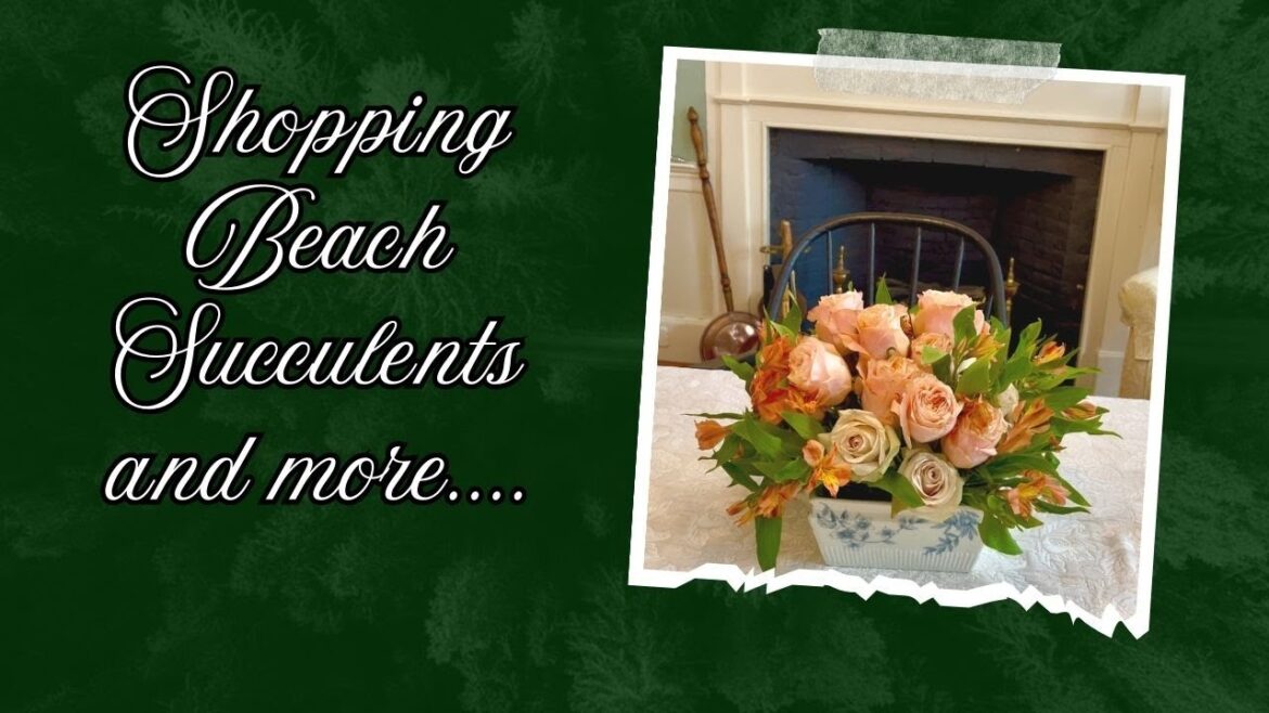 Home Decor Shopping in Exeter NH and a visit to Gardner’s Supply Greenhouse! Home Decor Shopping in Exeter NH and a visit to Gardner's Supply Greenhouse!