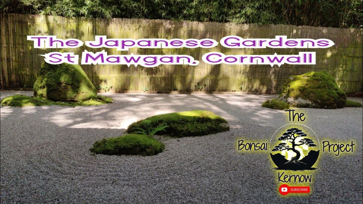 We went to The Japanese Gardens, St Mawgan, Cornwall.  .feat @BonsaiCornwall
