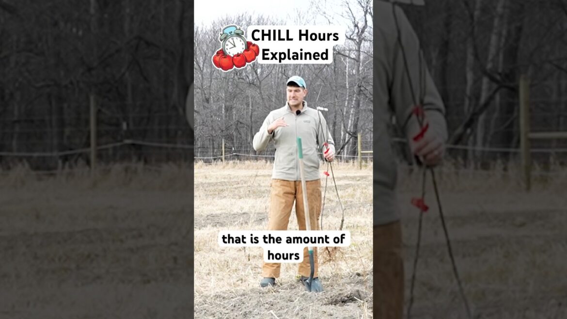 Don’t Plant a Fruit Tree Without Understanding THIS First! #garden #gardening