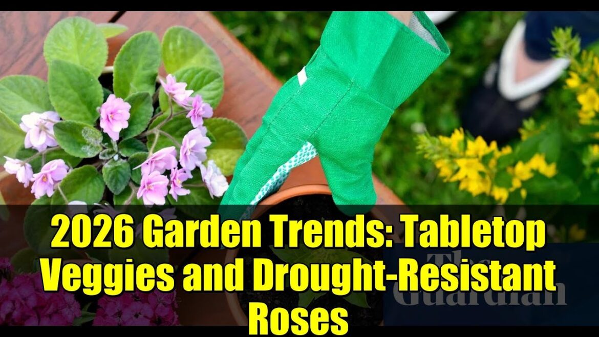 2026 Garden Trends: Tabletop Veggies and Drought-Resistant Roses