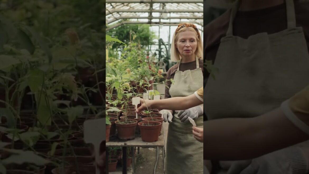 How to Understand Your Plants’ Needs | Greenhouse Gardening Made Simple