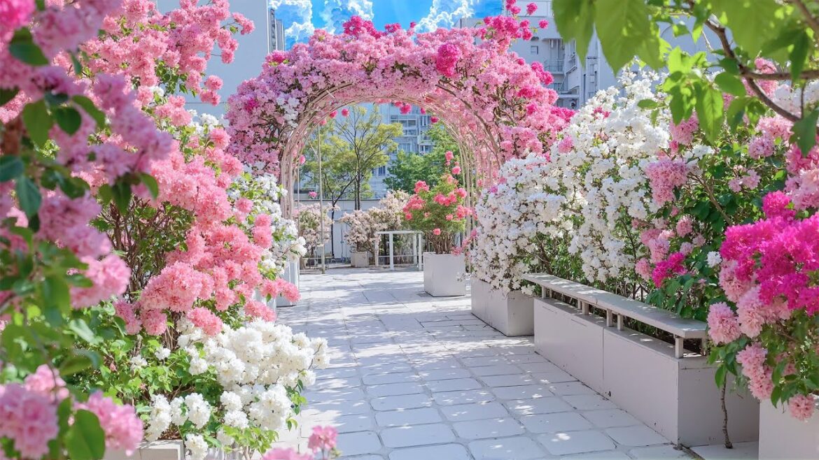 A Quiet Walk Through Blossoms🌸🏡 Top 10+ Garden Design for Chilling, Relaxing and Letting Stress Fade