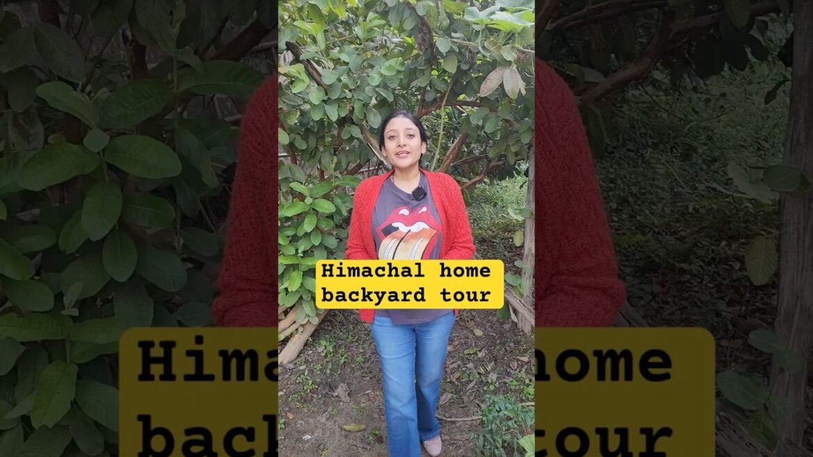 Home garden tour #ytshorts #backyard #gardening