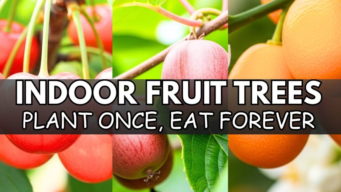 15 Fruit Trees That THRIVE in Pots, Shade & Tiny Spaces - The Lazy Gardener's Goldmine | Nostalgia