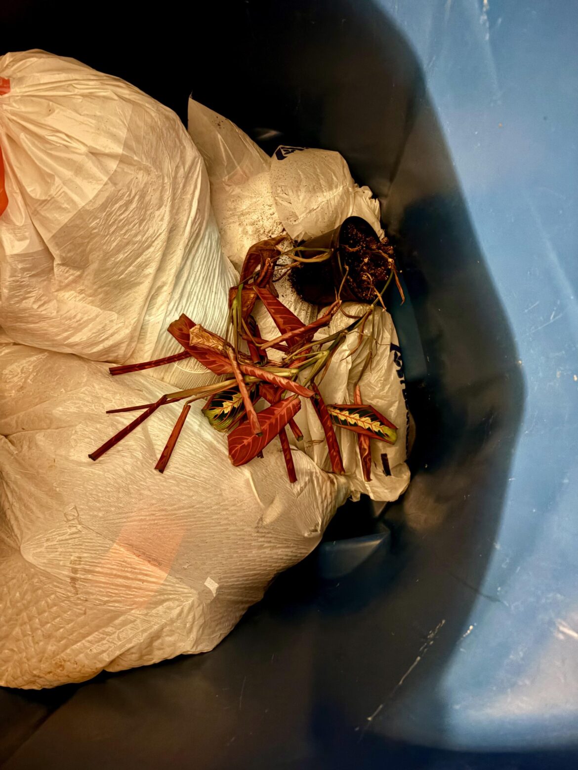 Goodbye and never again