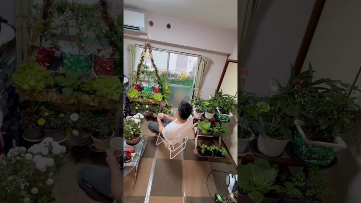 Little indoor garden in Japan🇯🇵 #nature lover #plantas  #plant lovers #gardeningtips #gardening