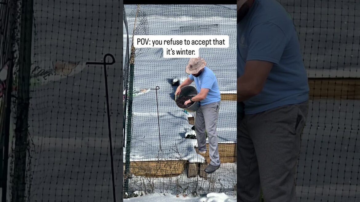 POV: You’re a Gardener Who Refuses to Accept It’s Winter