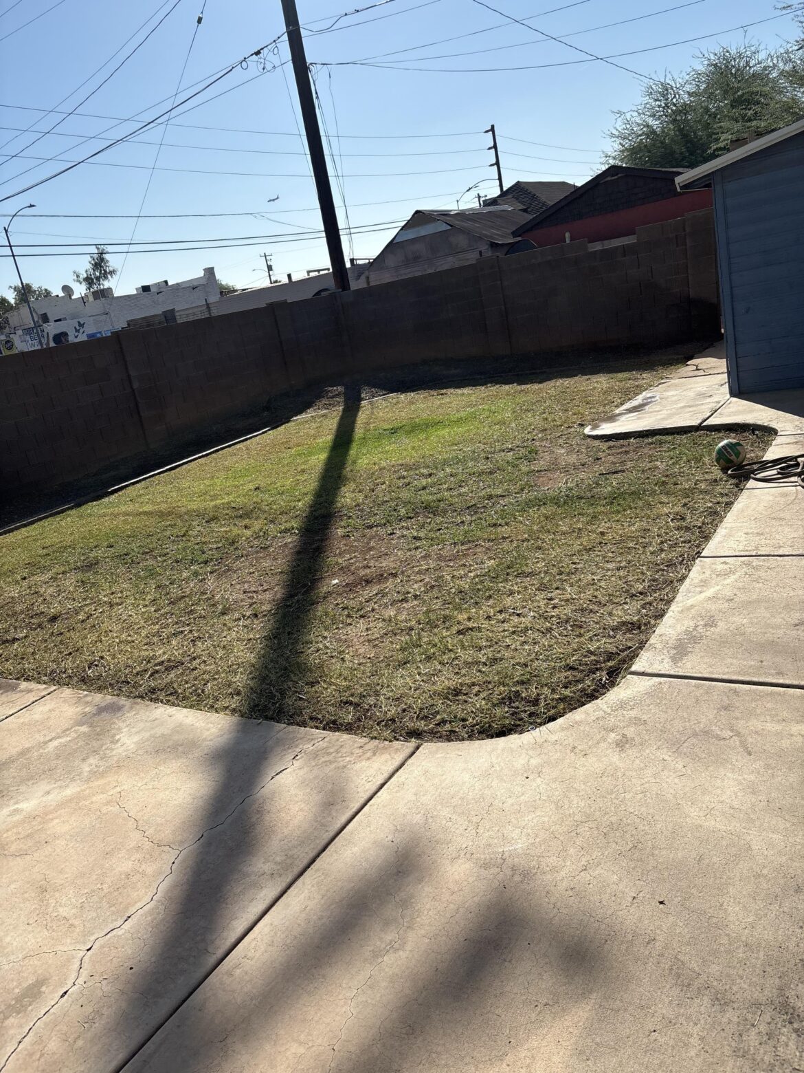 Landscaper says it is Impossible to replace Grass with Clover Landscaper says it is Impossible to replace Grass with Clover