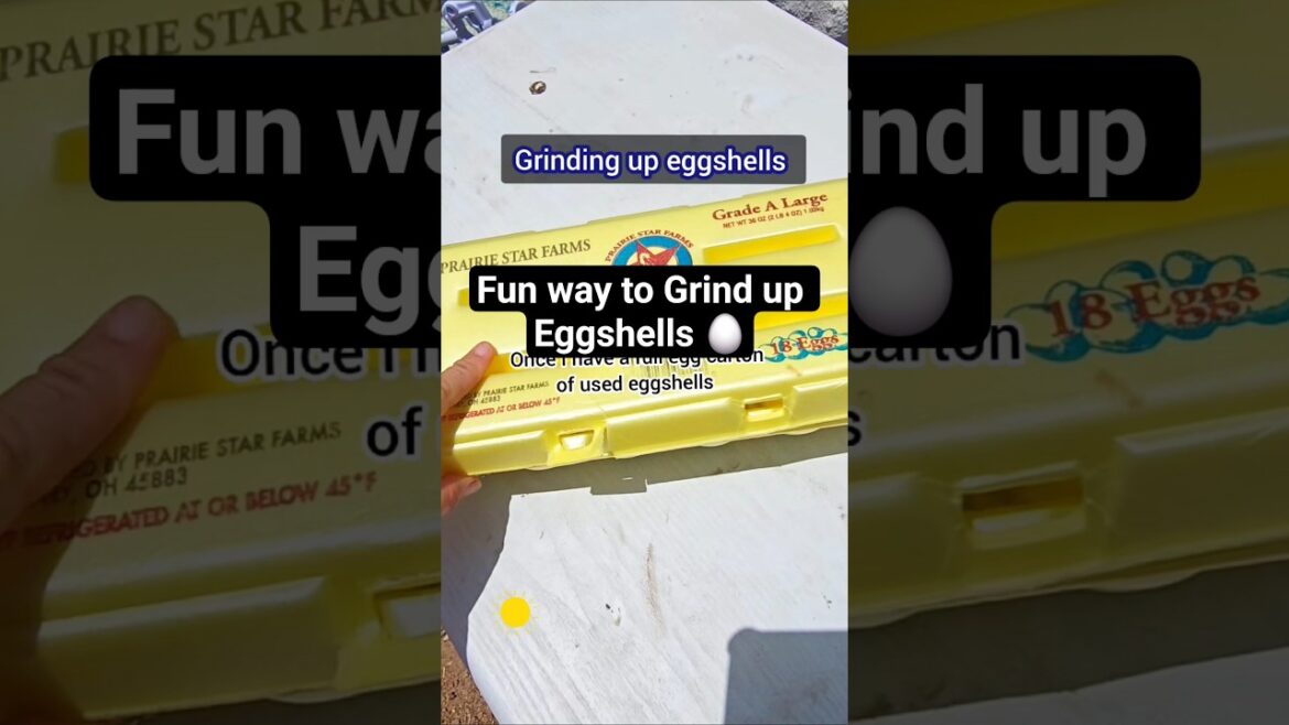 Fun way to Grind up Eggshells #eggshells #gardentips #gardening
