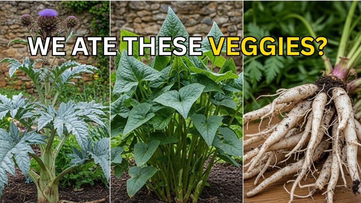 5 Ancient Veggies We Forgot How to Grow...And How to Grow Them  | Rediscovering Lost Food Heritage"