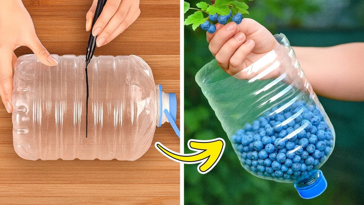 Clever Garden Hacks to Grow Plants and Collect Crops Easily 🧑‍🌾🌿