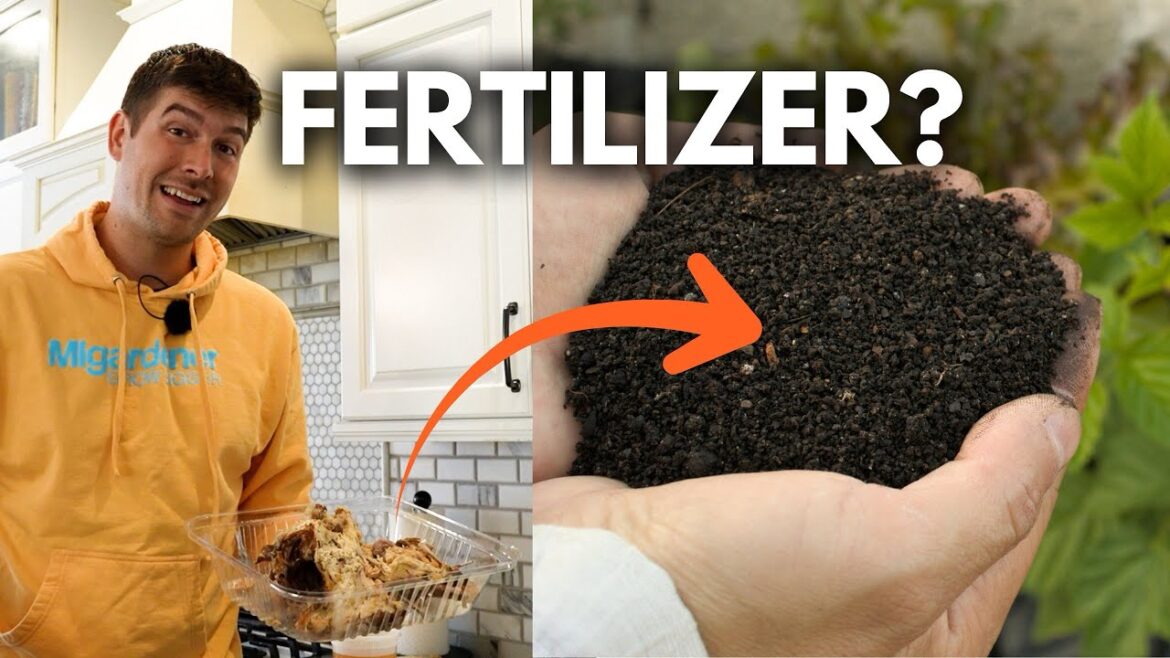 How to Make a FREE Fertilizer From Leftover Turkey (DIY Bone Meal)