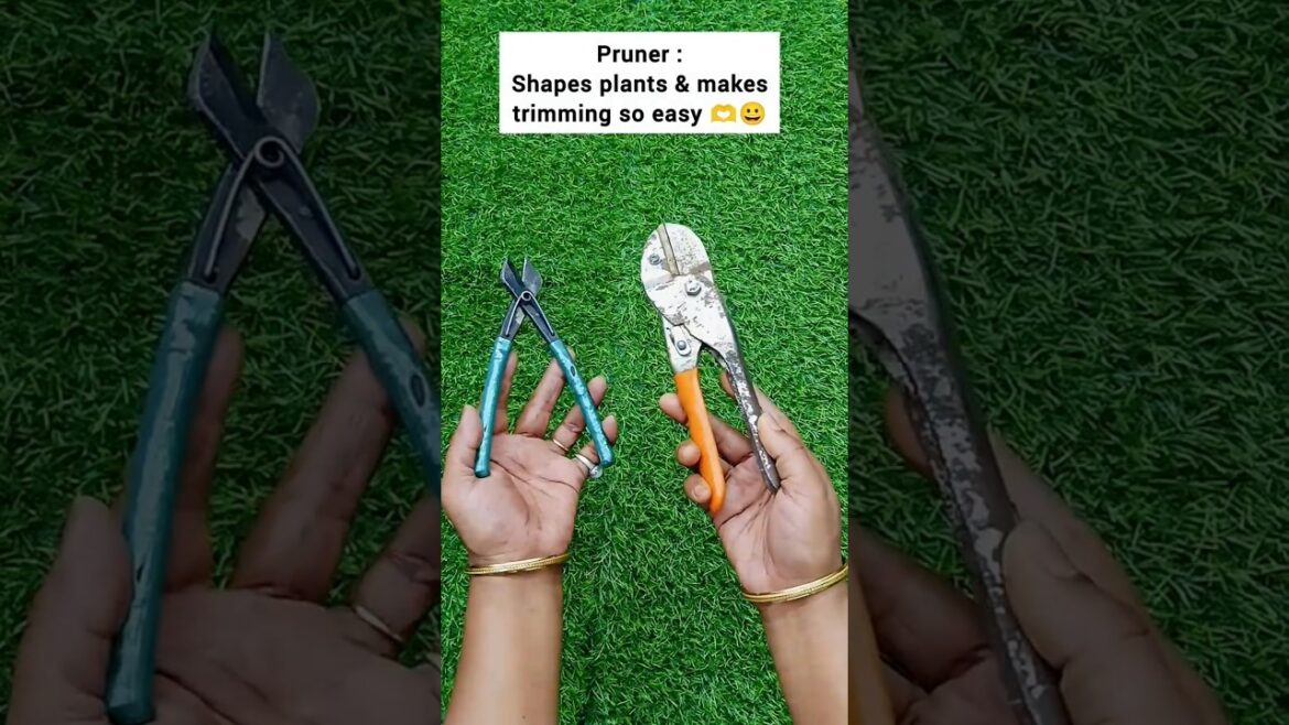 Basic Gardening Tools & Their Uses 🌱|Essential Tools Every Gardener Needs #garden #gardening #plants