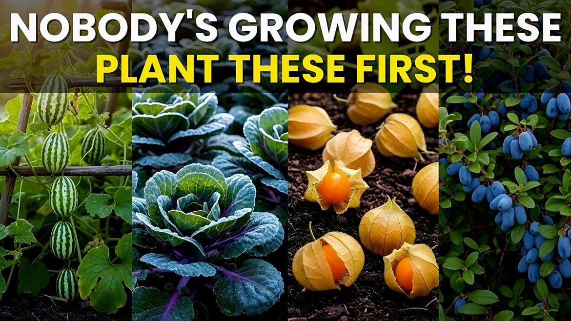 10 Garden Plants Set to Explode in 2026 🌱 Grow These Before Everyone Else Does 10 Garden Plants Set to Explode in 2026 🌱 Grow These Before Everyone Else Does