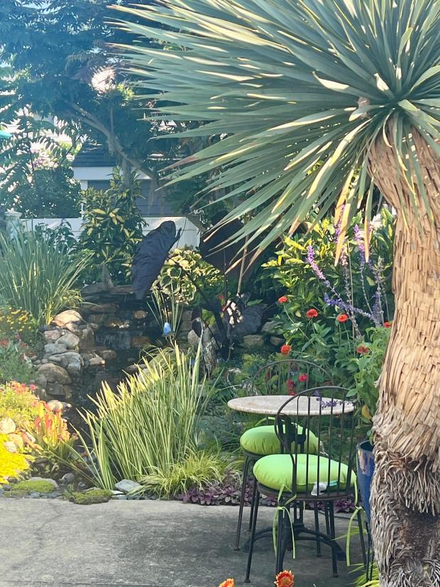 A bistro table and chairs appear under a tree in a backyard in Long Island, N.Y., on Aug. 7, 2025. backyard. (Jessica Damiano via AP)