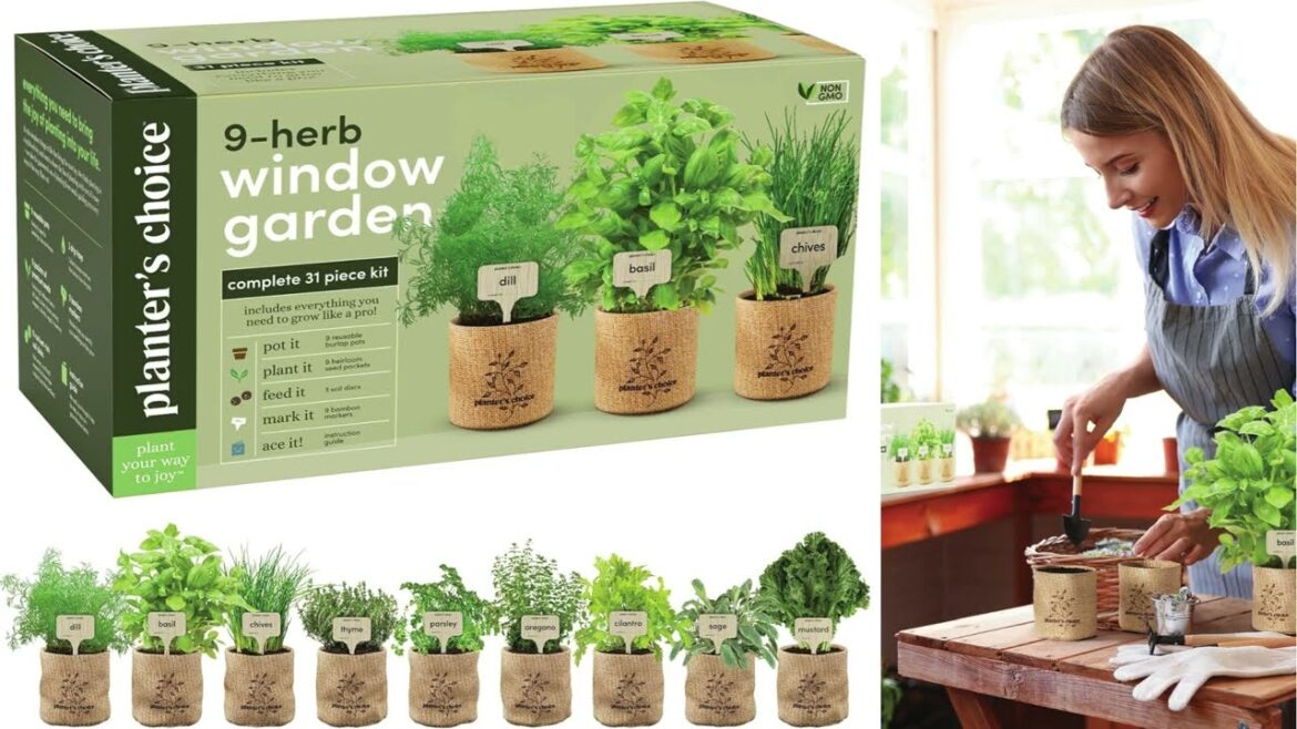 Top 5 Organic Vegetable Garden Starter Kits for Beginners
