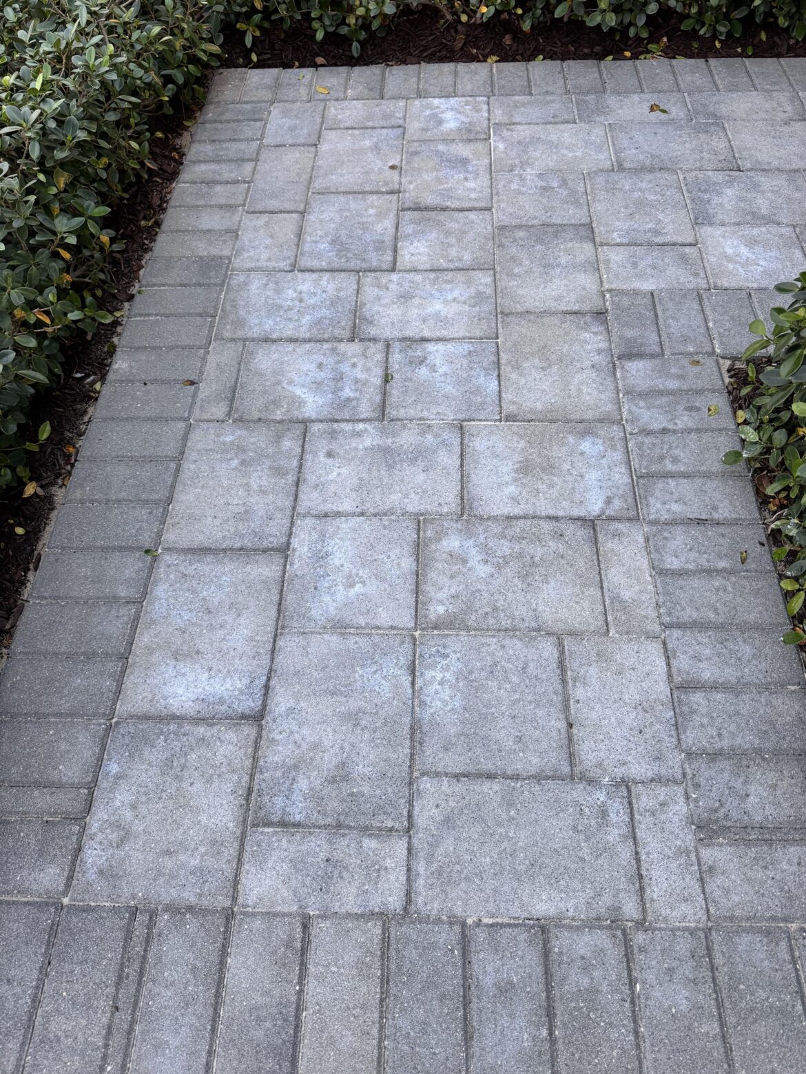Pavers were sealed and turned cloudy