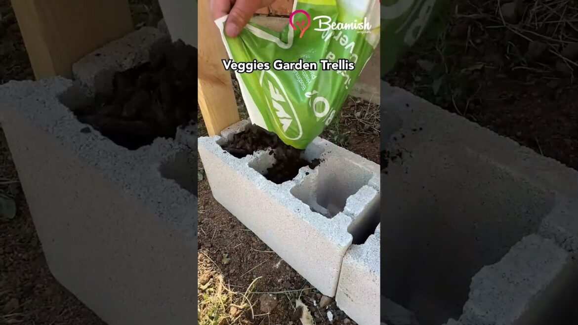 Veggies Garden Trellis #veggies #garden #hacks