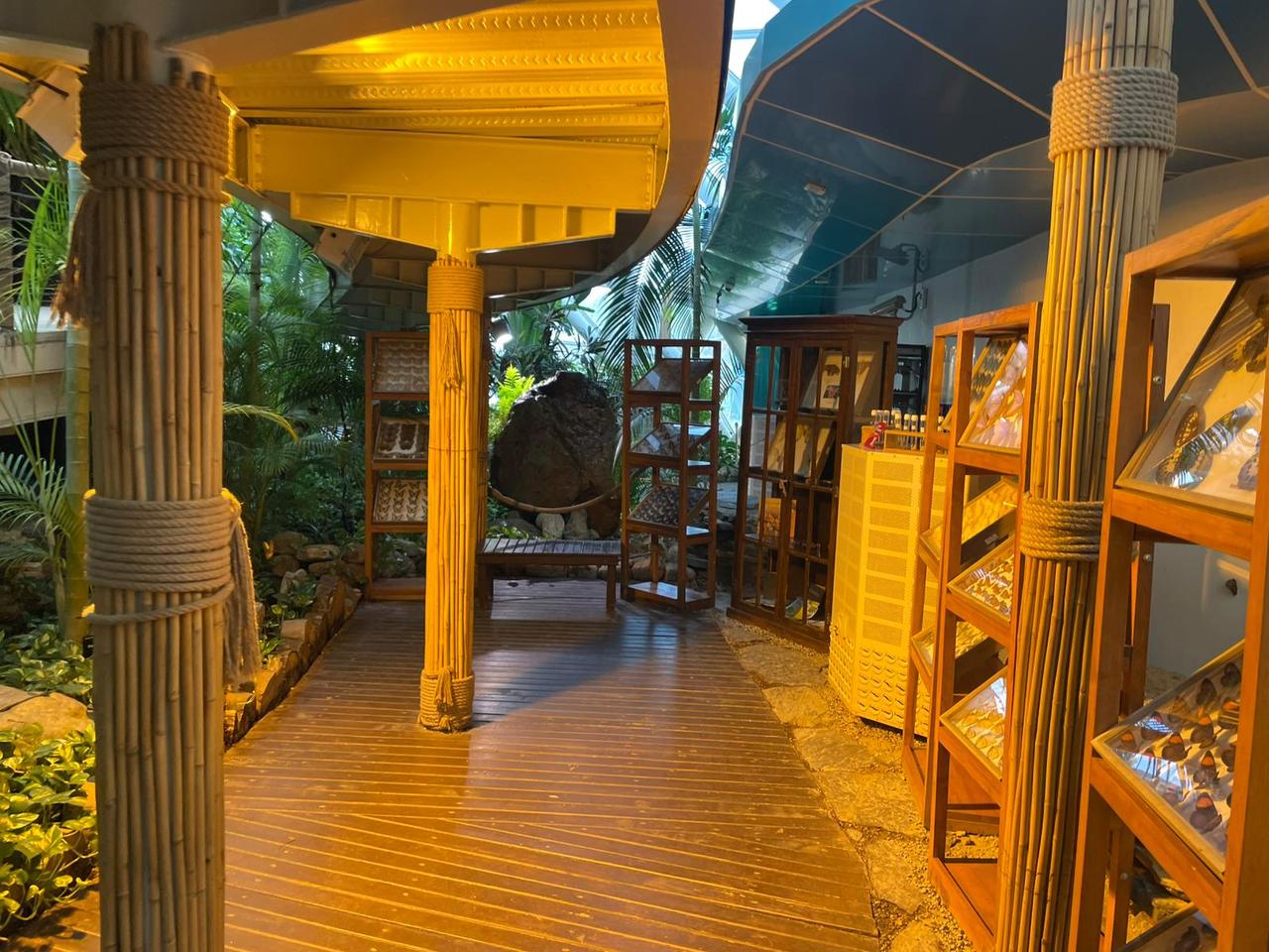 An interior view of the Konya Tropical Butterfly Garden, Konya, Türkiye, Dec. 17, 2025. (Photo by Koray Erdogan/Türkiye Today)