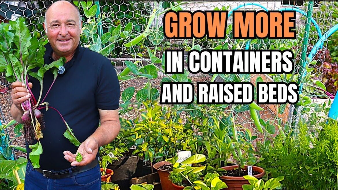 Raised Bed & Container Garden Update – What We’re Harvesting & Planting Now!