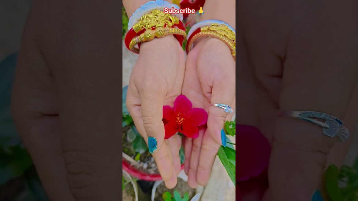 ফুল নিয়ে টিকটক #gardening #youtubeshorts #UpdateGardening #garden #youtubeshort #flowers #rose