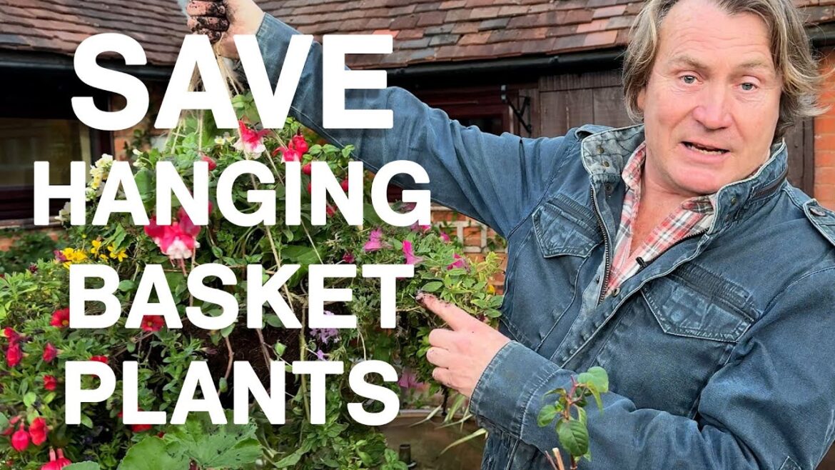 How to Overwinter Hanging Baskets and Save Money | Winter Garden Tips for UK Gardeners