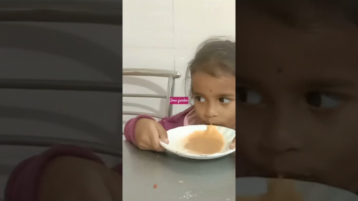 టీ పిచ్చి  #hotel irrani chai#sona garden