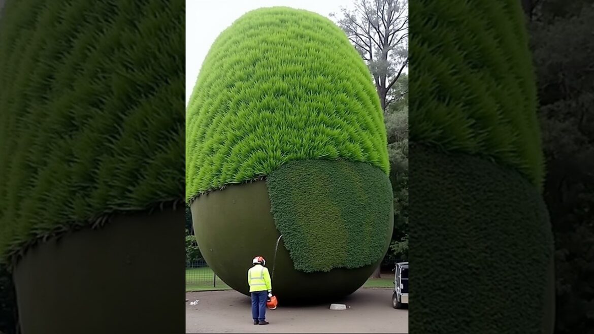 Relaxing and Satisfying: Watch These Garden Transformations 🌳